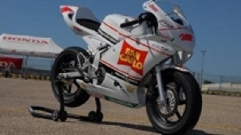 NSF100 Junior Trophy