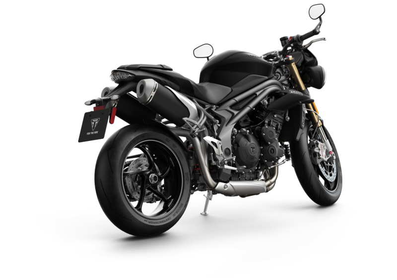 Triumph Speed Triple 1050 Speed Triple 1050 S (2018 - 20) (9)