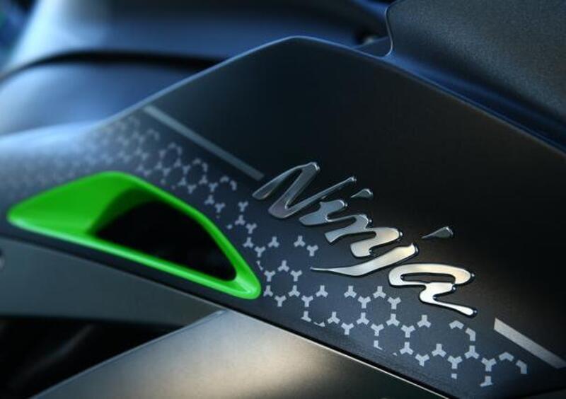 Kawasaki Ninja 1000 ZX-10R Ninja 1000 ZX-10R SE (2018) (5)