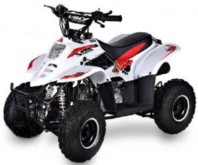  Altre moto o tipologie Minimoto nuova