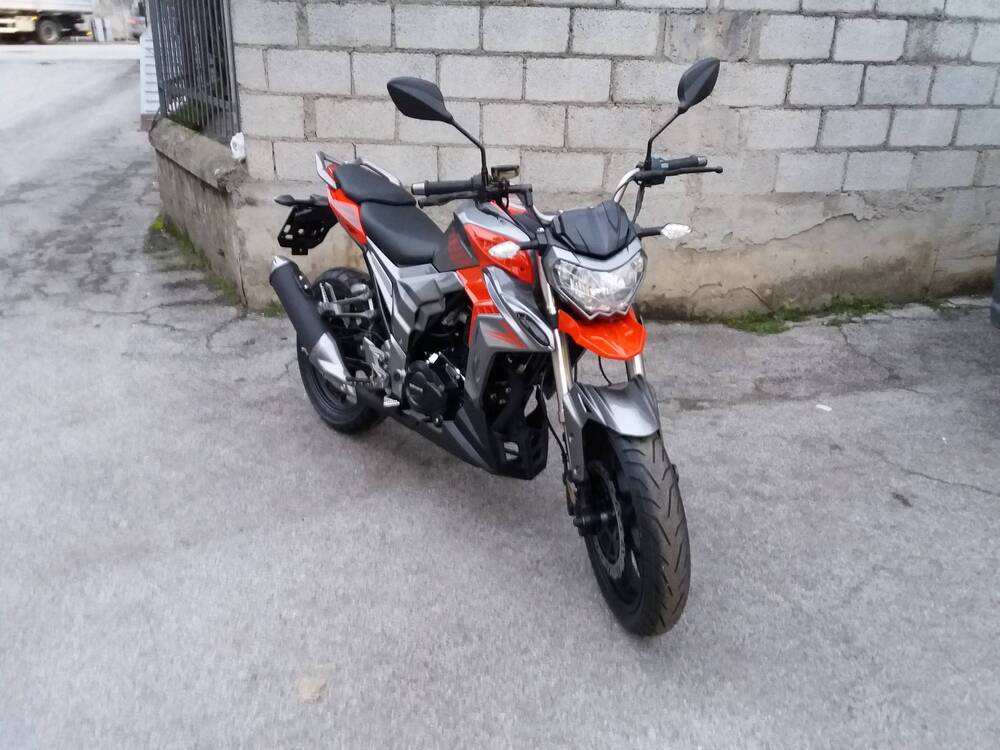 Senke Naked 125 Sport SK (2017 - 20) (3)