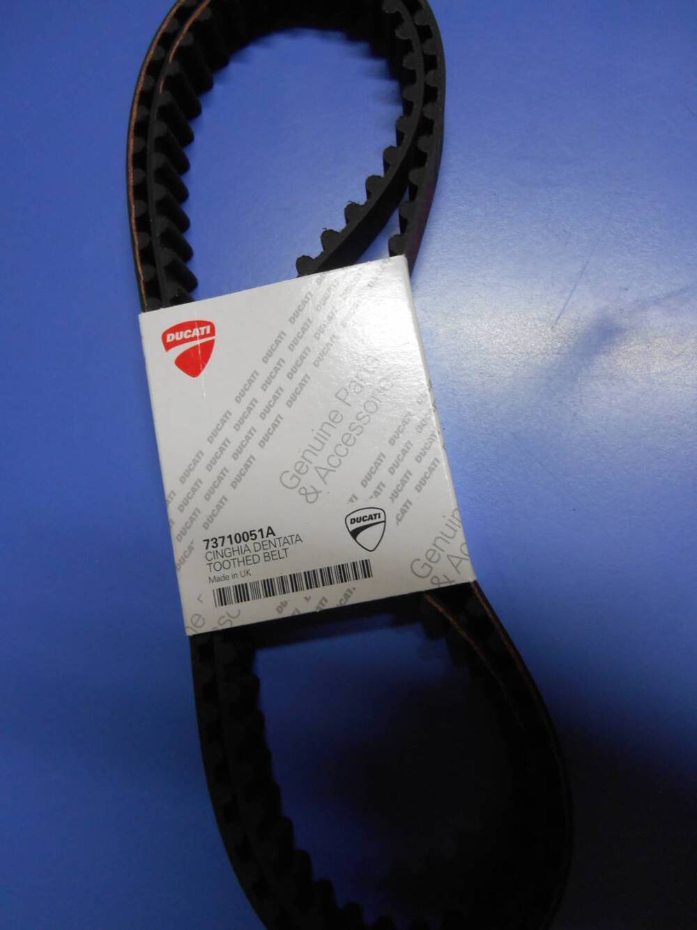 Cinghie Distribuzione Monster – 73710051A Ducati