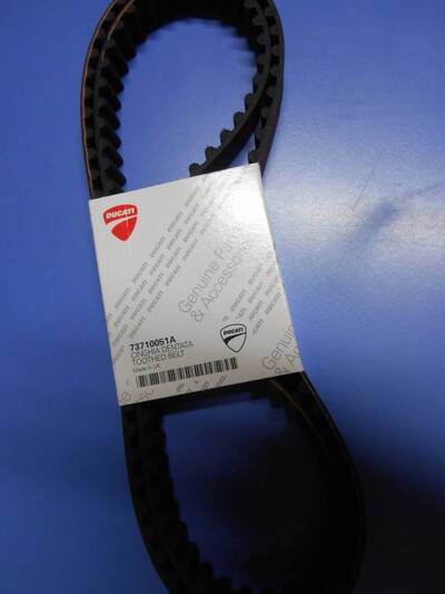 Cinghie Distribuzione Monster &ndash; 73710051A Ducati
