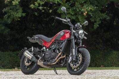 Benelli Leoncino 500 ABS (2017 - 20) nuova