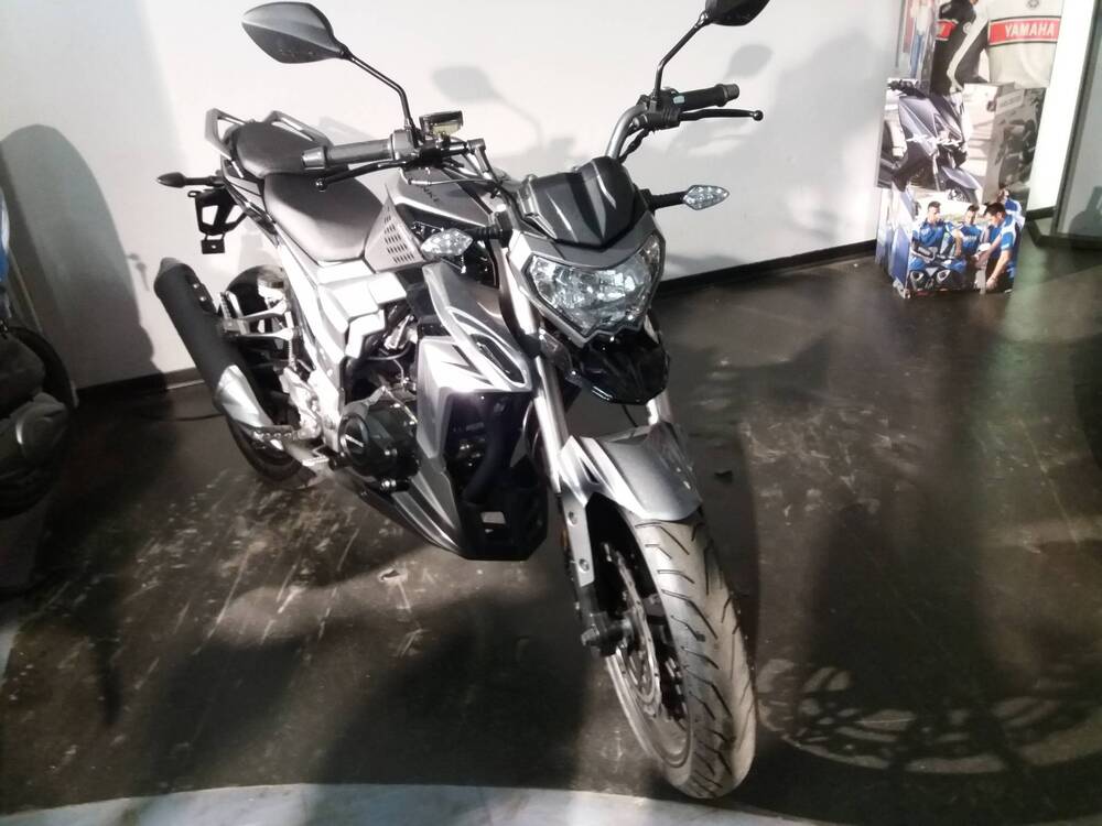 Senke Naked 125 Sport SK (2017 - 20) (3)