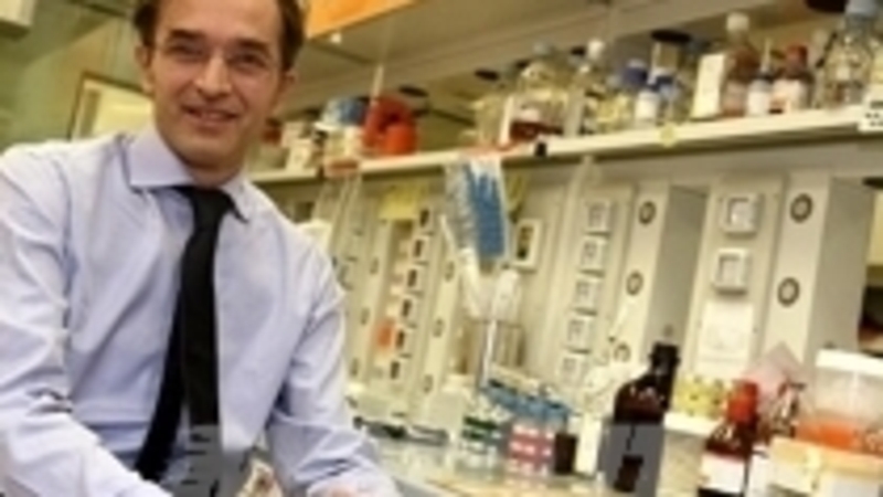 BMW accelera nella ricerca