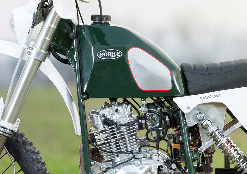 Borile MdV 300 MdV 300 (2018 - 19) (4)