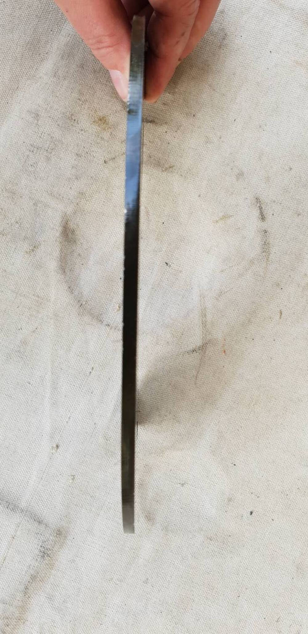 Disco freno Sportster Trike Harley-Davidson (5)