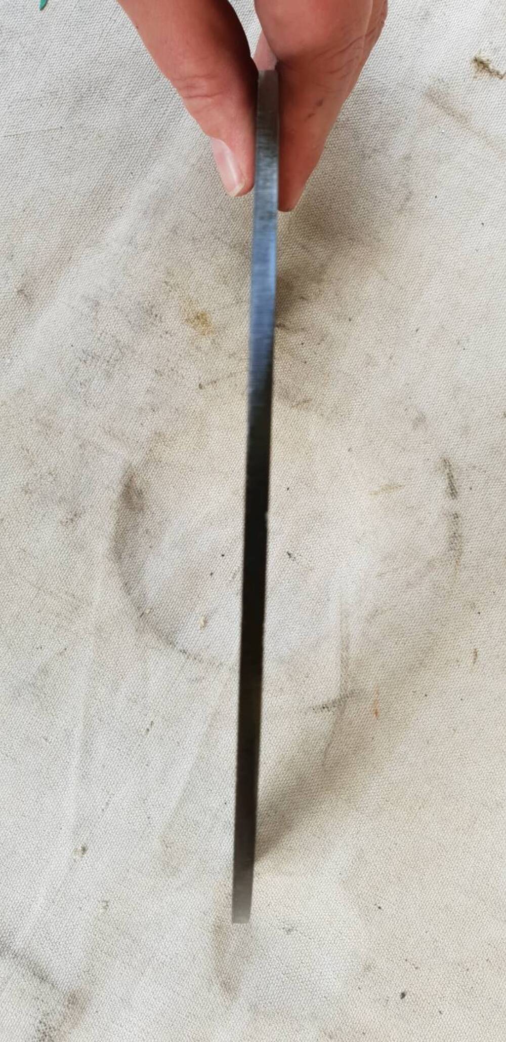 Disco freno Sportster Trike Harley-Davidson (4)