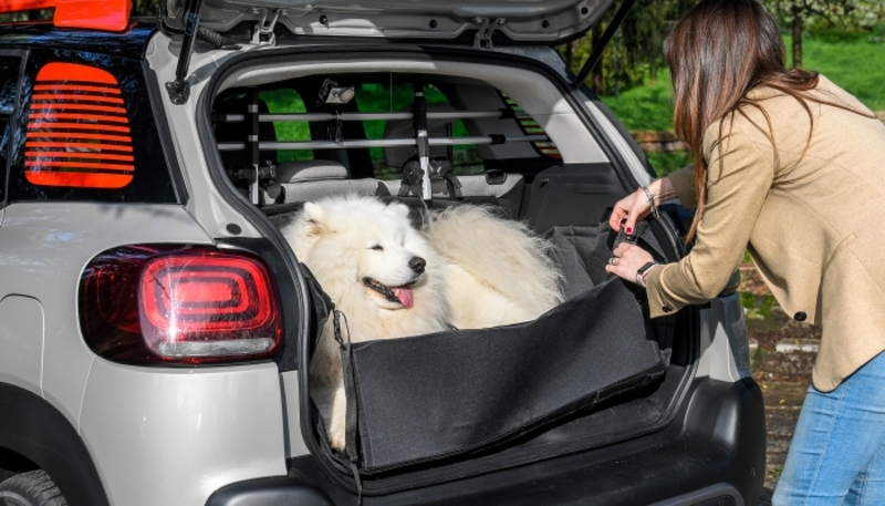 Citroen &ldquo;Pet &agrave; Porter&rdquo;, il kit pensato per il cane