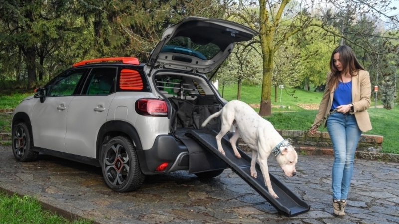 Citroen &ldquo;Pet &agrave; Porter&rdquo;, il kit pensato per il cane