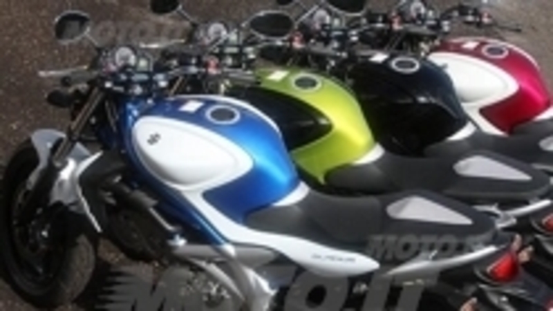 Gladius coster&agrave; 6.390 Euro