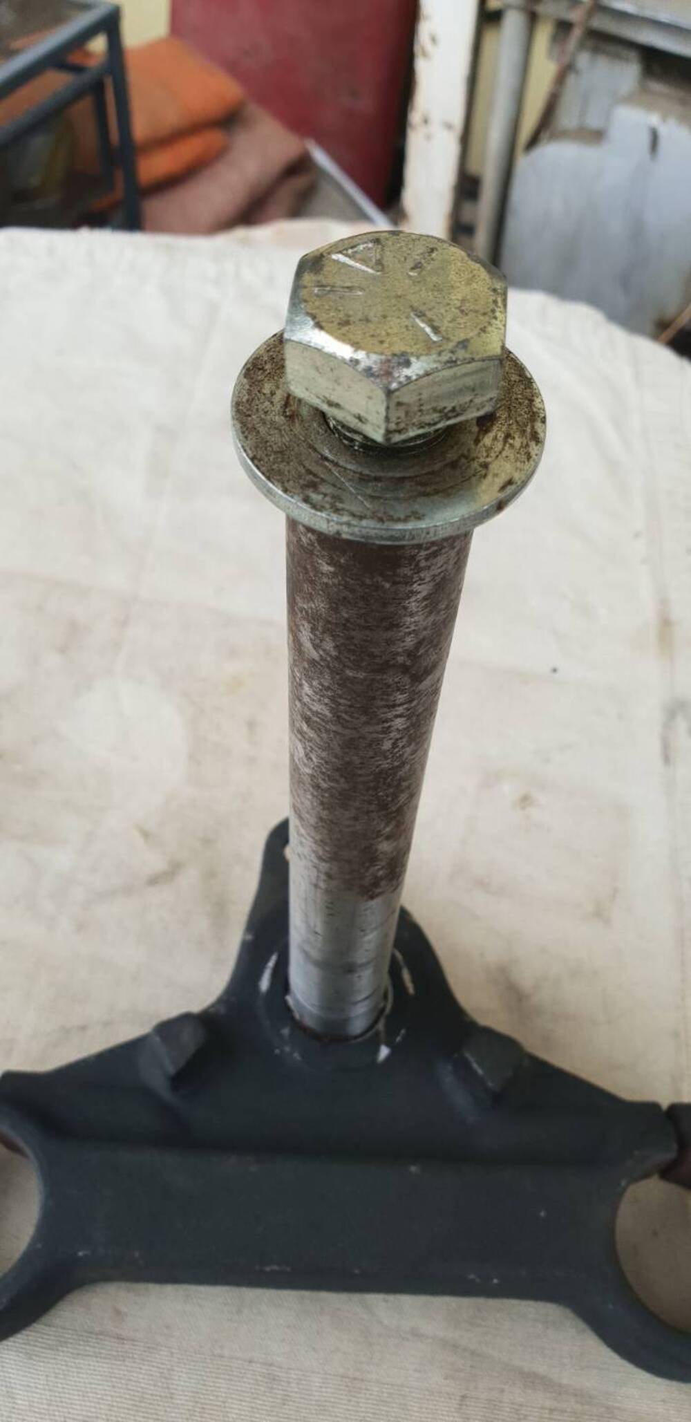 Piastra inferiore Harley Sportster 883 Harley-Davidson (5)