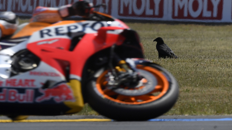 Gallery MotoGP. Il GP di Francia 2018