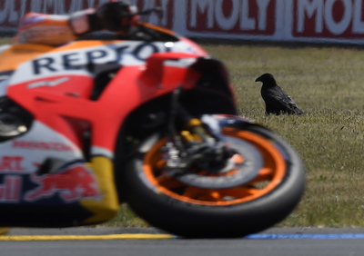 Gallery MotoGP. Il GP di Francia 2018