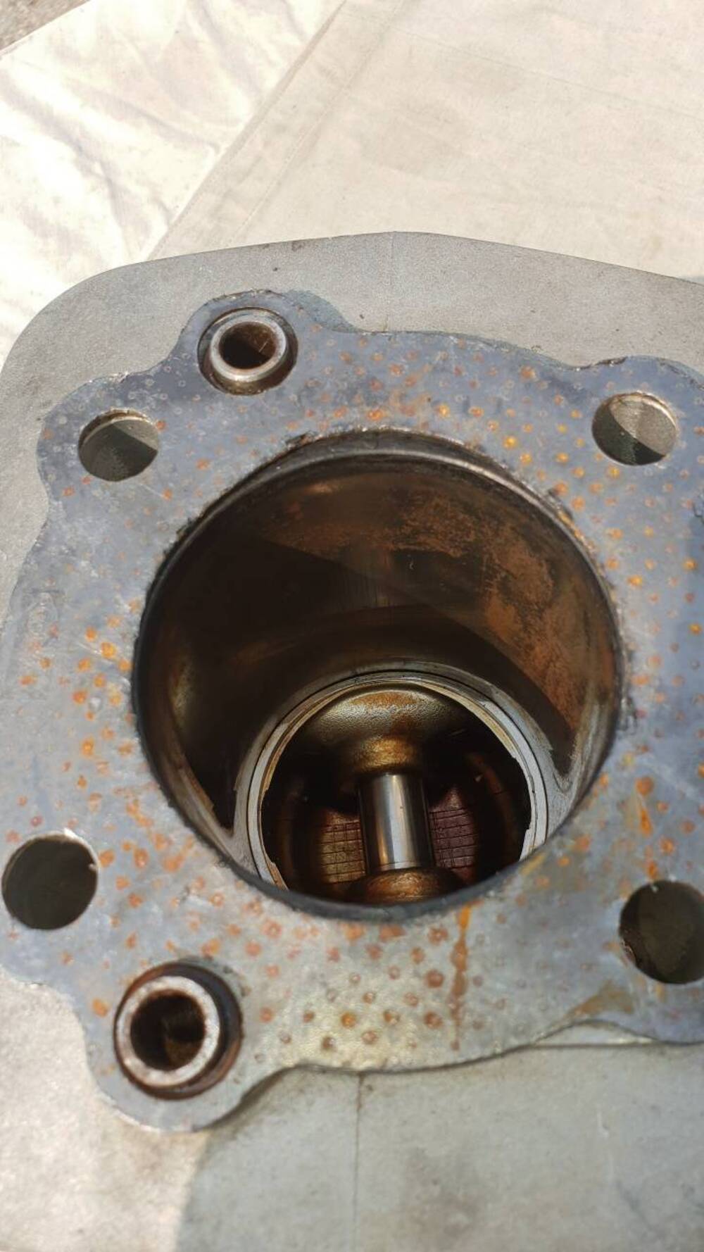 Cilindro e pistone Harley-Davidson Sportster 883 (5)