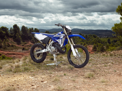 Yamaha WR 250