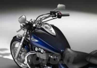 Triumph Thunderbird