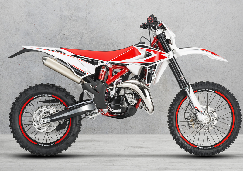 Betamotor RR 125 2T RR 125 2T Enduro (2019) (9)