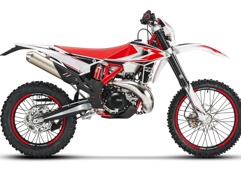 Betamotor RR 250 2T RR 250 2T Enduro (2019) (4)