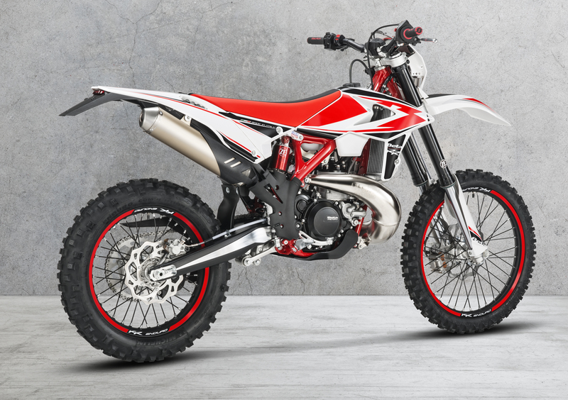 Betamotor RR 250 2T RR 250 2T Enduro (2019) (7)