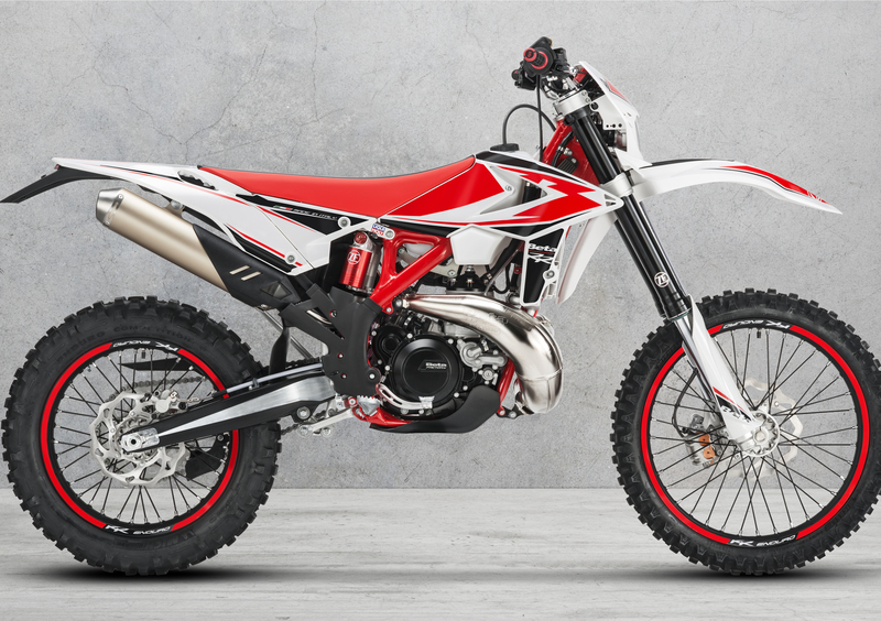 Betamotor RR 250 2T RR 250 2T Enduro (2019) (8)