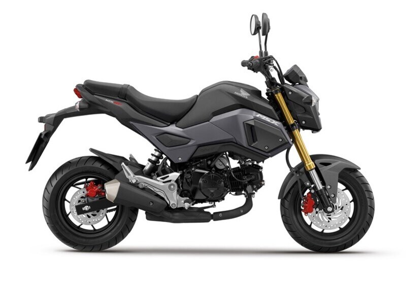 Honda MSX 125 MSX 125 (2016 - 17) (7)