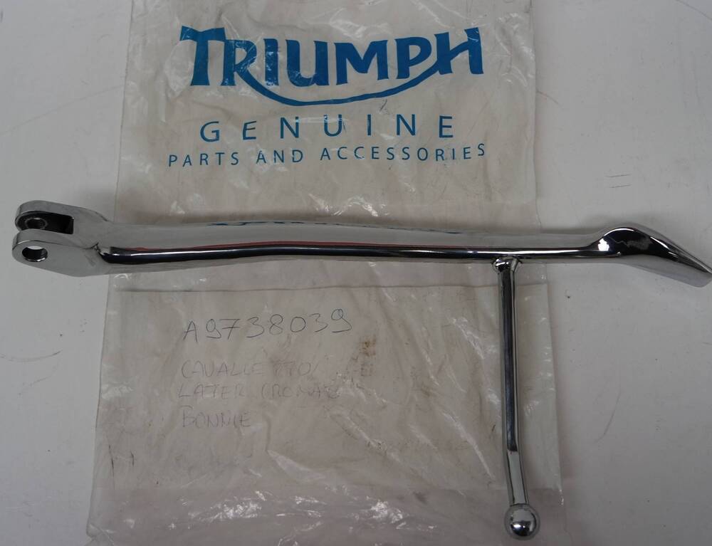 Cavalletto Boneville 900 Triumph (2)