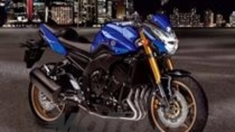 Yamaha FZ8. Le immagini ufficiali