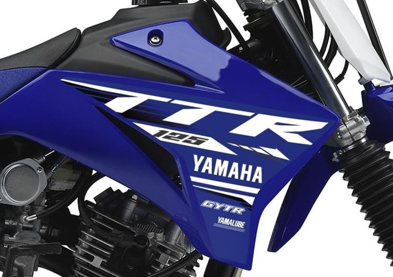 Yamaha TT-R 125 TT-R 125 LWE (2018 - 22) (5)