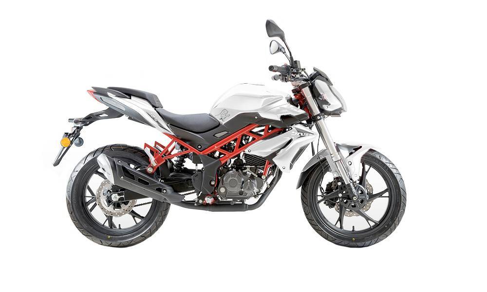 Benelli BN 125 (2021 - 25) (4)