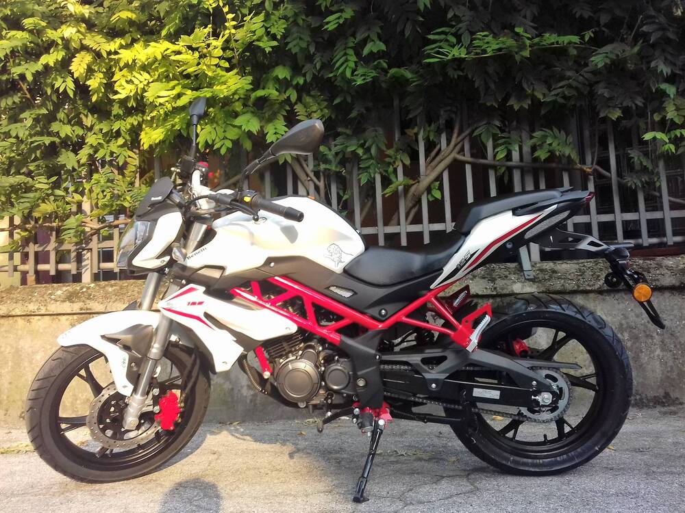 Benelli BN 125 (2018 - 20) (3)