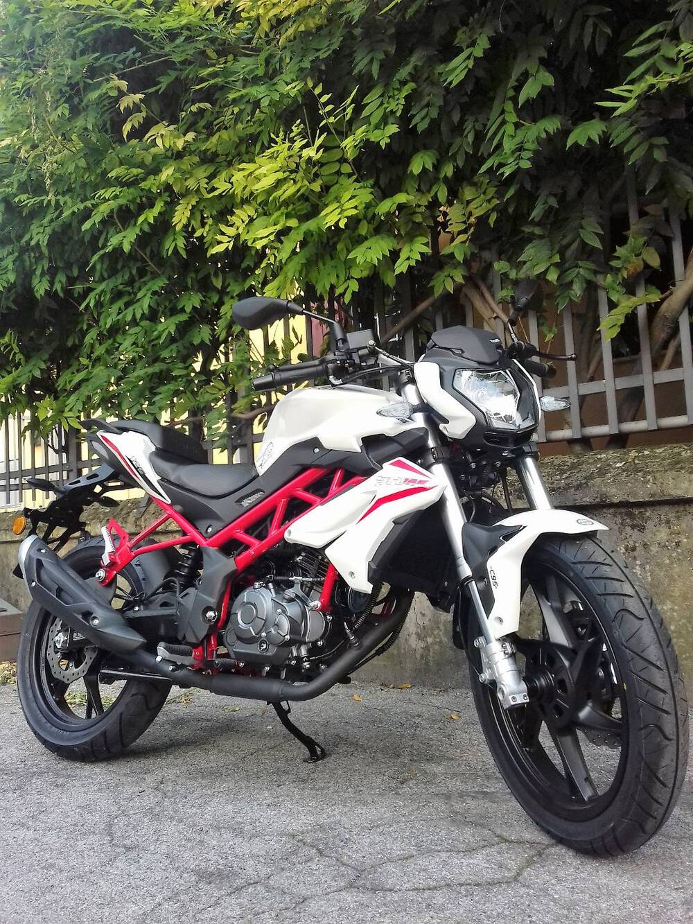 Benelli BN 125 (2018 - 20) (2)