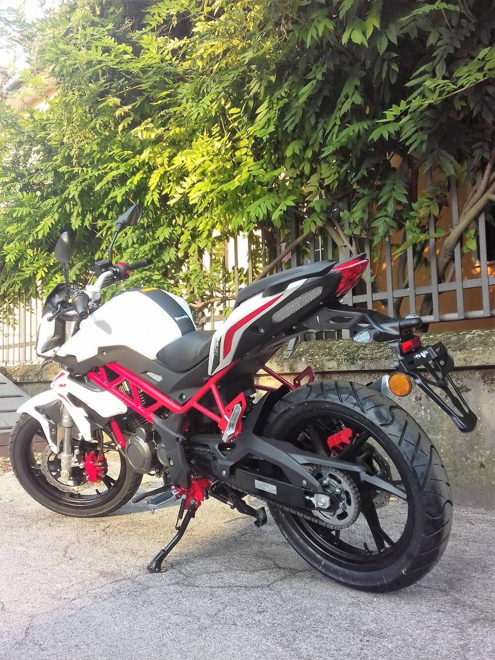 Benelli BN 125 (2018 - 20) (4)