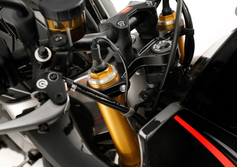 Aprilia Tuono V4 Tuono V4 Factory (2019 - 20) (10)