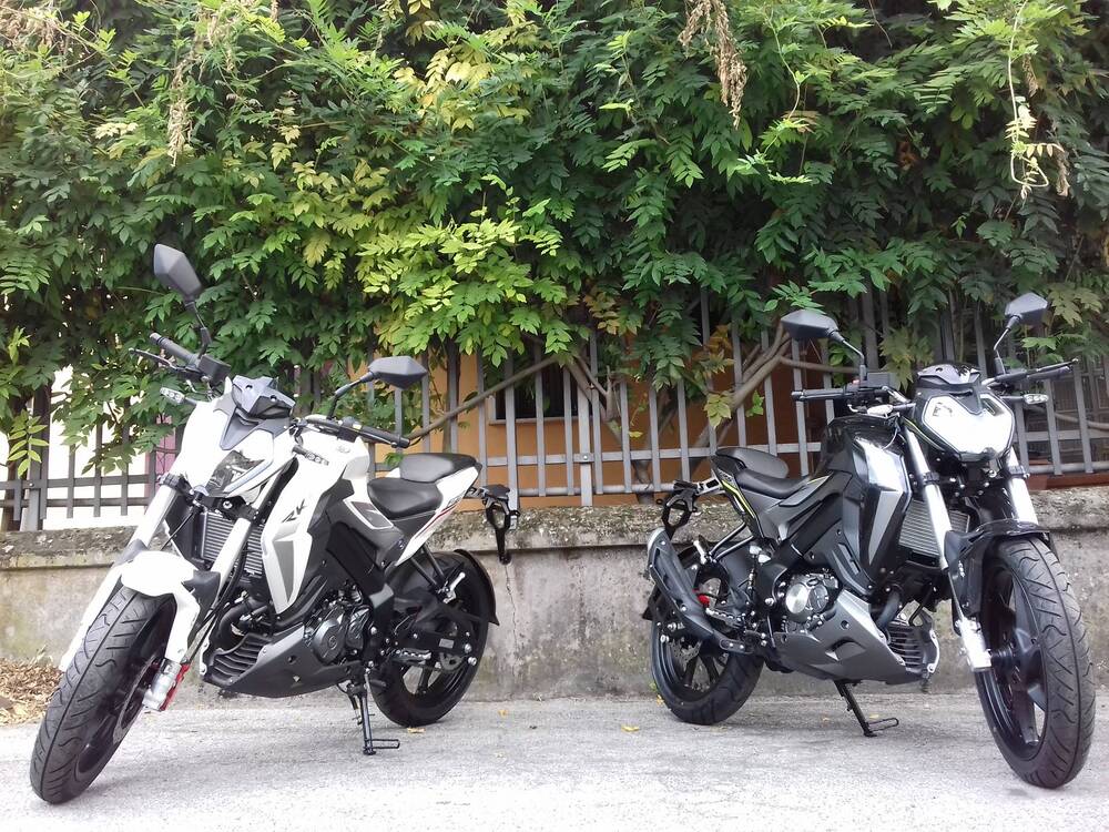 Keeway Motor RKF 125 (2018 - 20)