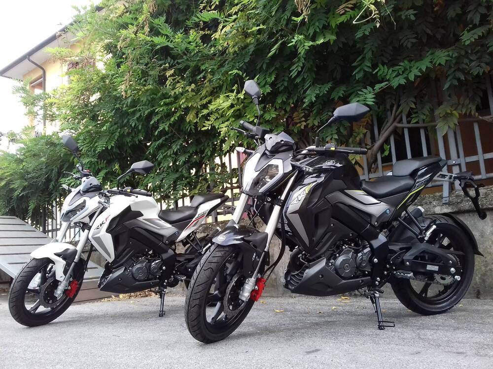 Keeway Motor RKF 125 (2018 - 20) (3)