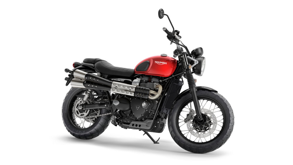 2019 triumph scrambler 900 online