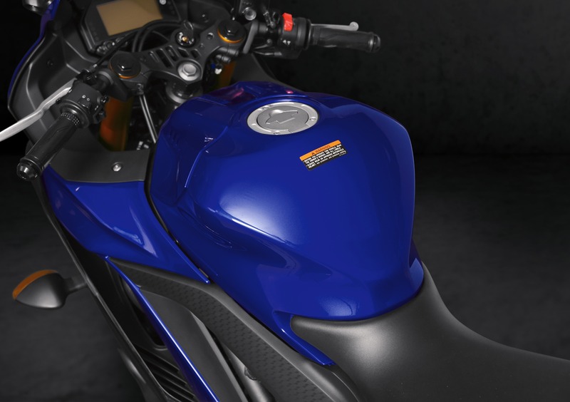 Yamaha YZF R3 YZF R3 (2019 - 20) (15)