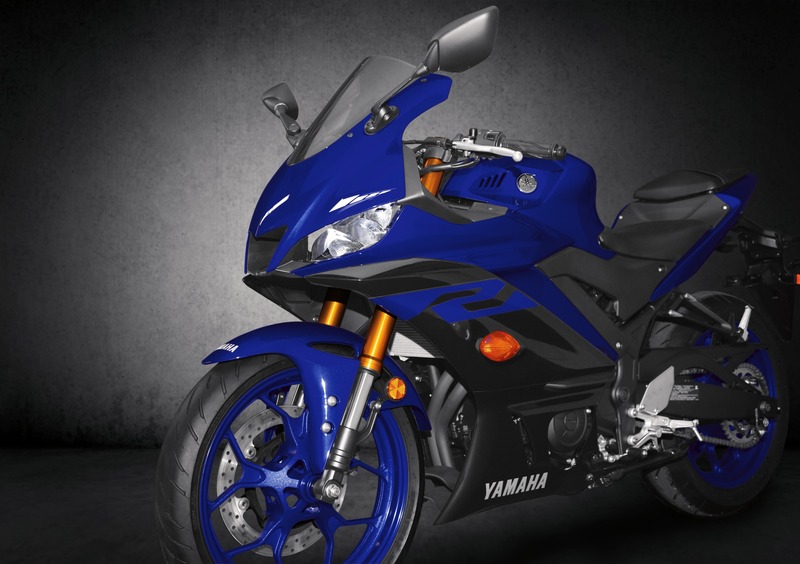 Yamaha YZF R3 YZF R3 (2019 - 20) (18)