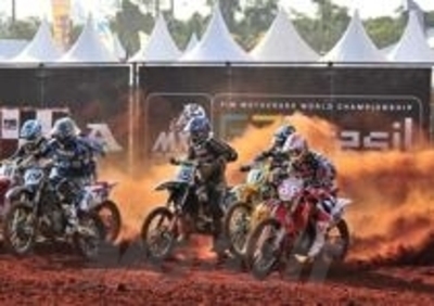 Philippaerts & Cairoli brasileri