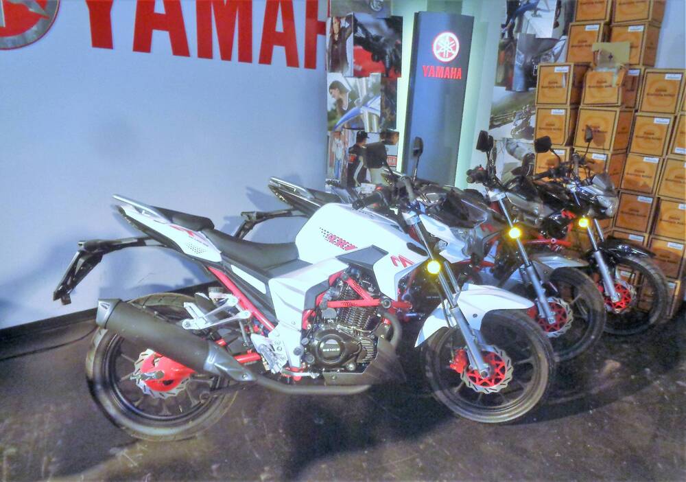 Senke Naked 125 Sport SK (2017 - 20) (2)