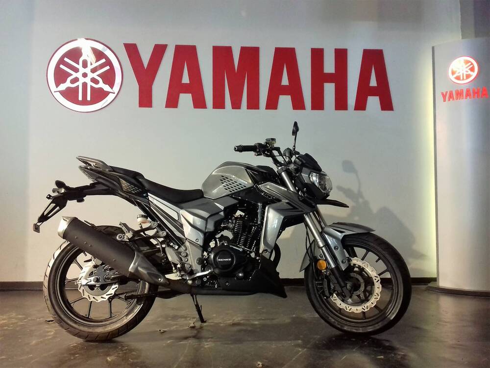 Senke Naked 125 Sport SK (2017 - 20) (4)