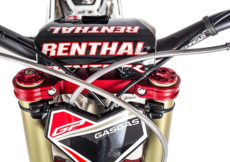 GASGAS TXT 250 TXT 250 GP (2019) (15)