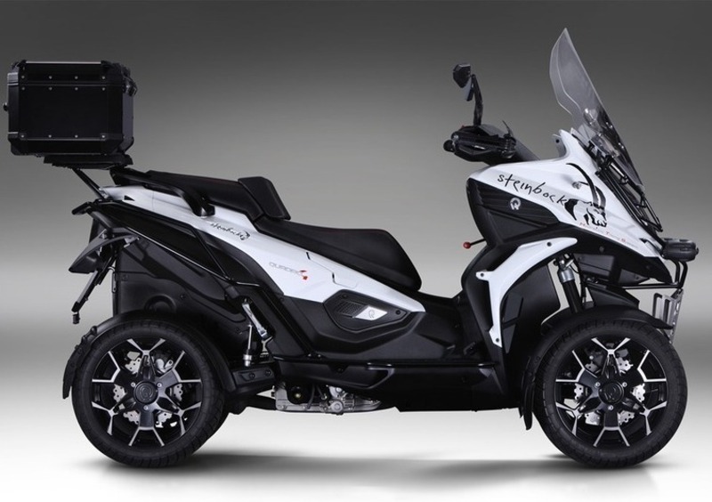 Quadro Qooder 400 Qooder 400 Steinbock (2019) (3)