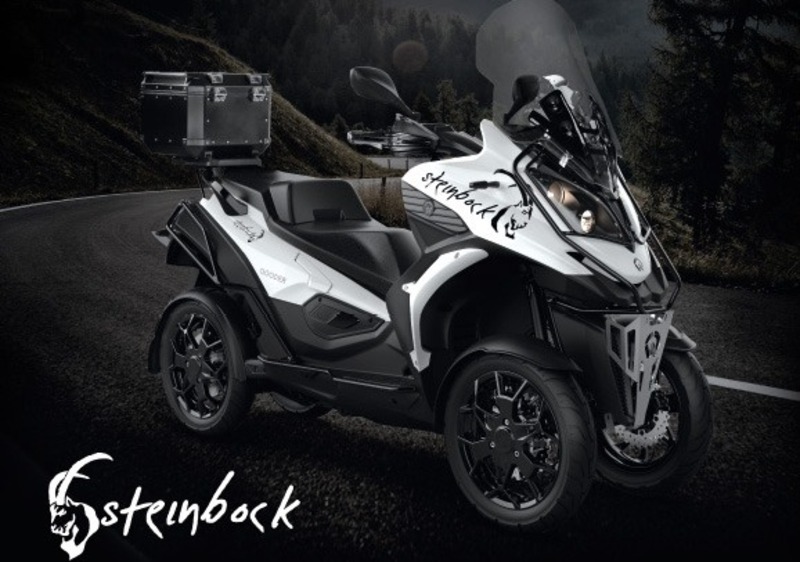 Quadro Qooder 400 Qooder 400 Steinbock (2019) (2)