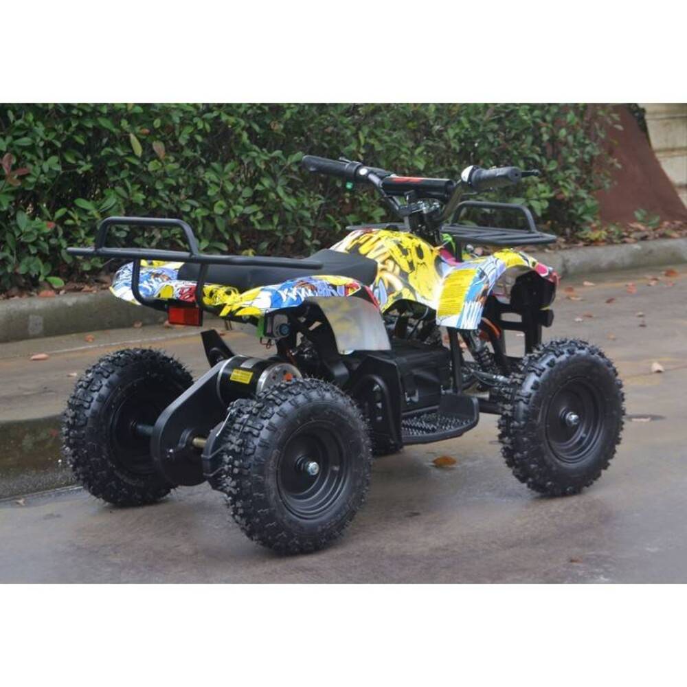  Altre moto o tipologie Quad (3)