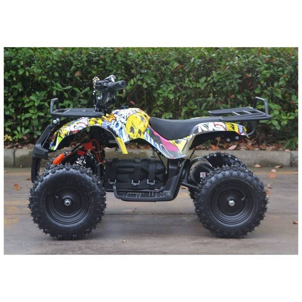  Altre moto o tipologie Quad (2)