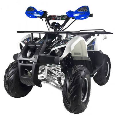  Altre moto o tipologie Quad nuova