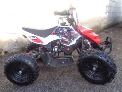  Altre moto o tipologie Quad nuova